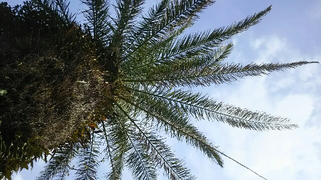 f:id:atisland:20160316223118j:image f:id:atisland:20160316223118j:image