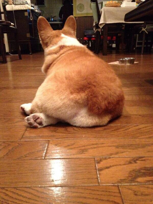 f:id:atsblog:20160204082350j:plain