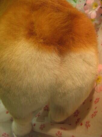 f:id:atsblog:20160204082431j:plain