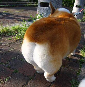 f:id:atsblog:20160204082512j:plain