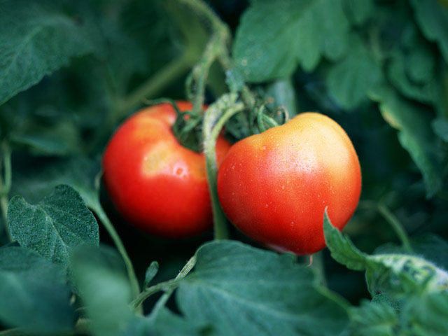 f:id:atsquare:20120822101706j:image:w480 f:id:atsquare:20120822101706j:image:w480