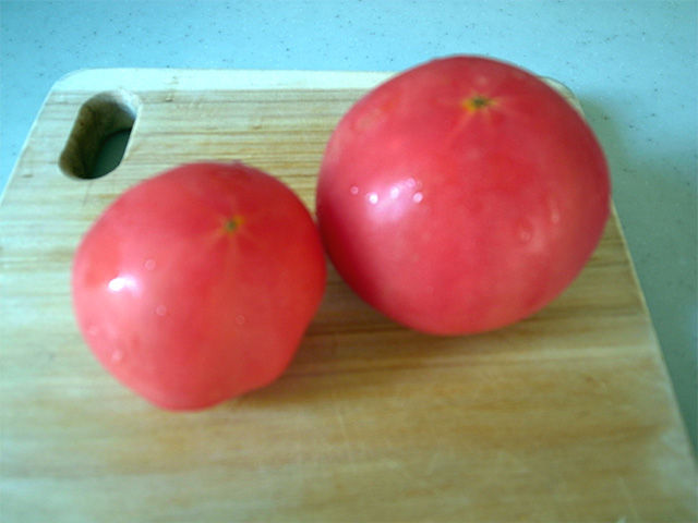 f:id:atsquare:20120822105532j:image:w480 f:id:atsquare:20120822105532j:image:w480