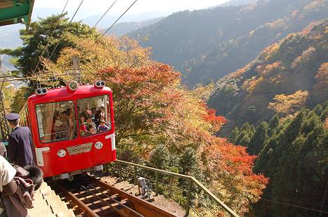 f:id:atsugiebina:20160517002033j:plain f:id:atsugiebina:20160517002033j:plain