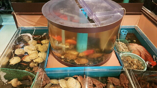 f:id:atsugiebina:20160611183802j:image