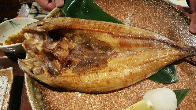 f:id:atsugiebina:20160611183944j:image