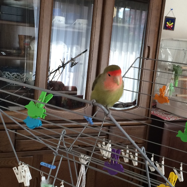 f:id:aufheben1007:20150704120936j:image f:id:aufheben1007:20150704120936j:image
