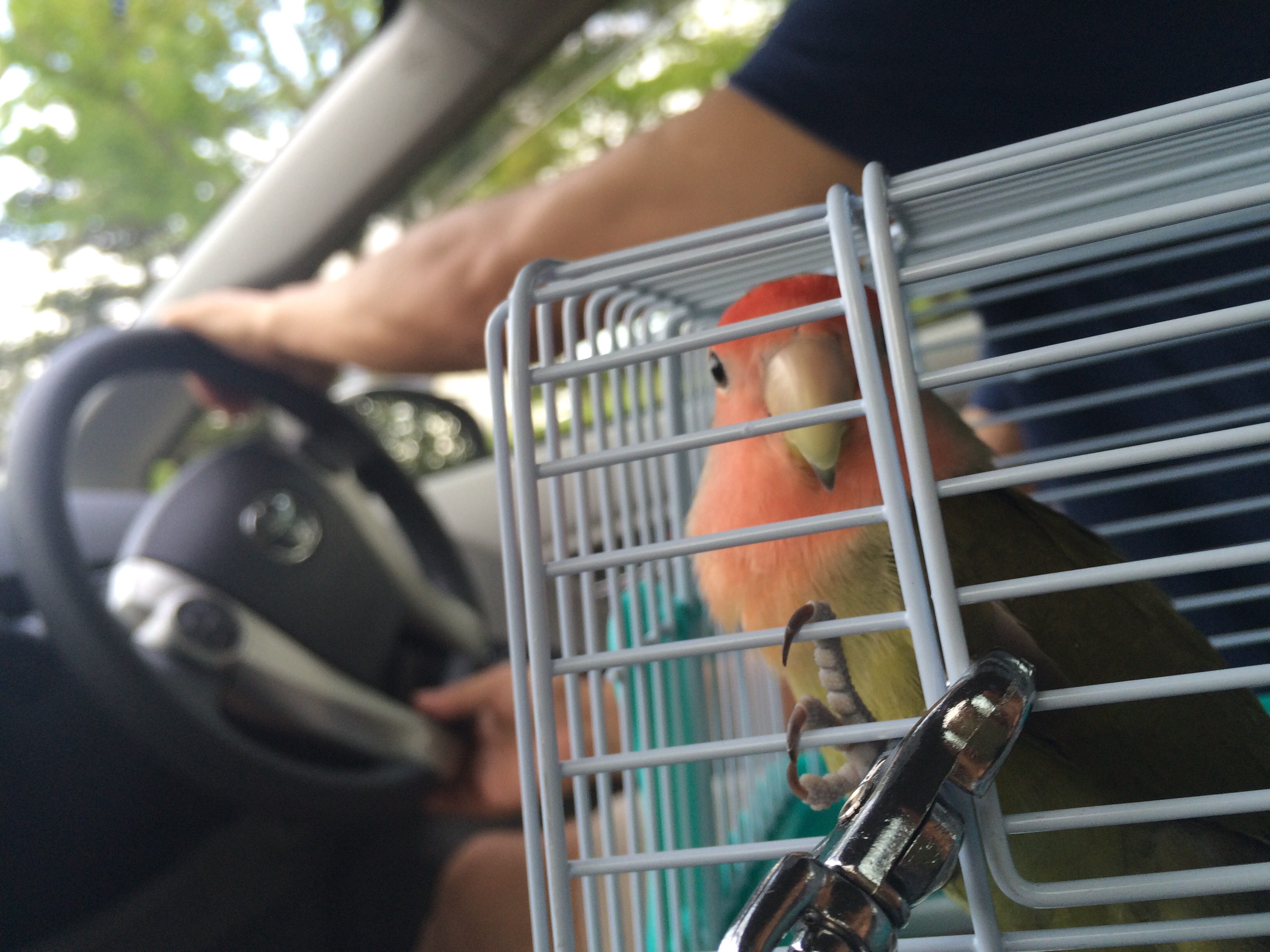 f:id:aufheben1007:20150720212636j:image f:id:aufheben1007:20150720212636j:image