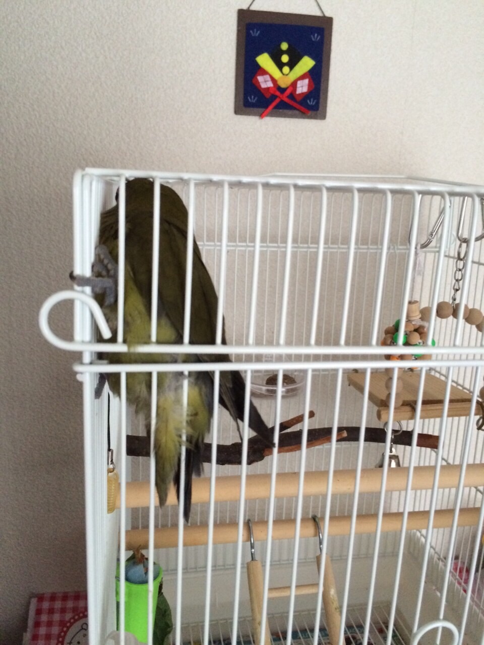 f:id:aufheben1007:20150811100243j:image