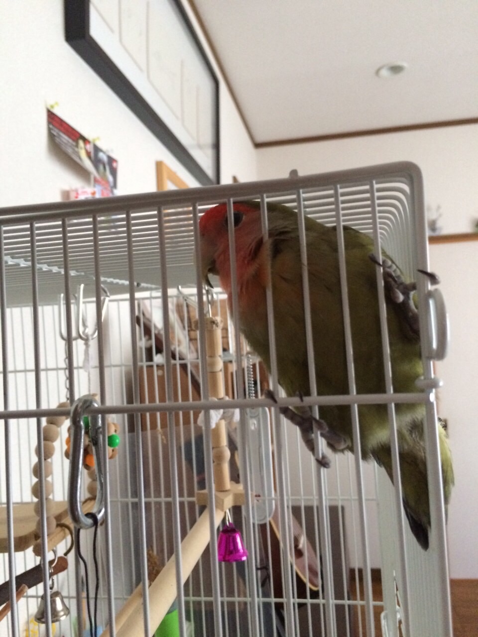 f:id:aufheben1007:20150811100300j:image