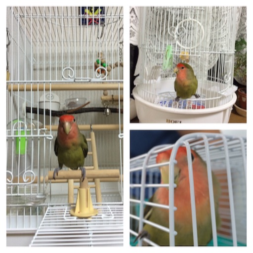 f:id:aufheben1007:20150904081416j:image f:id:aufheben1007:20150904081416j:image