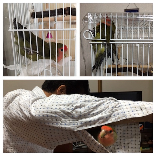 f:id:aufheben1007:20151107150221j:image f:id:aufheben1007:20151107150221j:image