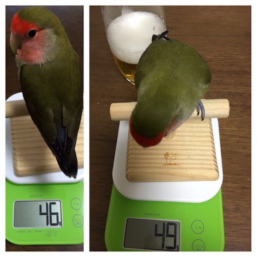 f:id:aufheben1007:20151110082531j:image f:id:aufheben1007:20151110082531j:image