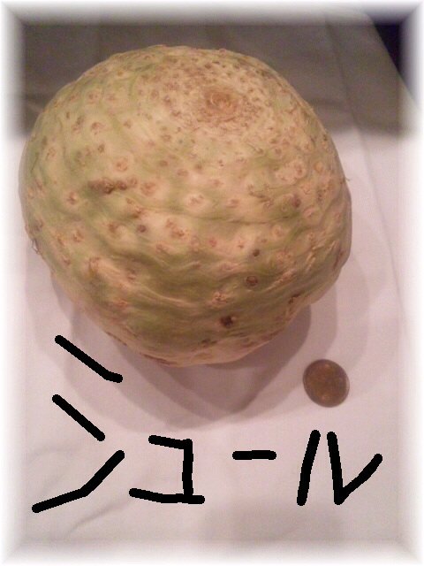 f:id:auxlegumes:20101104171912j:image:h350 f:id:auxlegumes:20101104171912j:image:h350