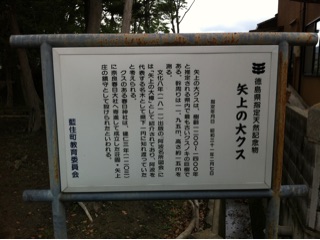 f:id:awa-otoko:20141113212651j:plain f:id:awa-otoko:20141113212651j:plain