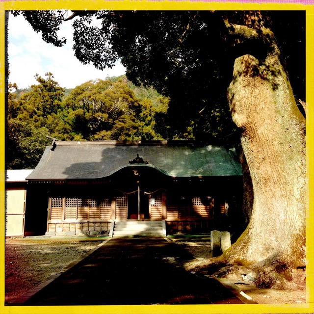 f:id:awa-otoko:20150218225301j:plain f:id:awa-otoko:20150218225301j:plain