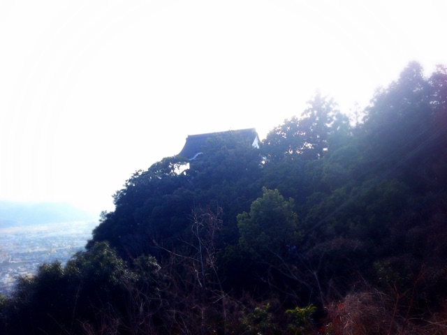 f:id:awa-otoko:20150326004051j:plain f:id:awa-otoko:20150326004051j:plain