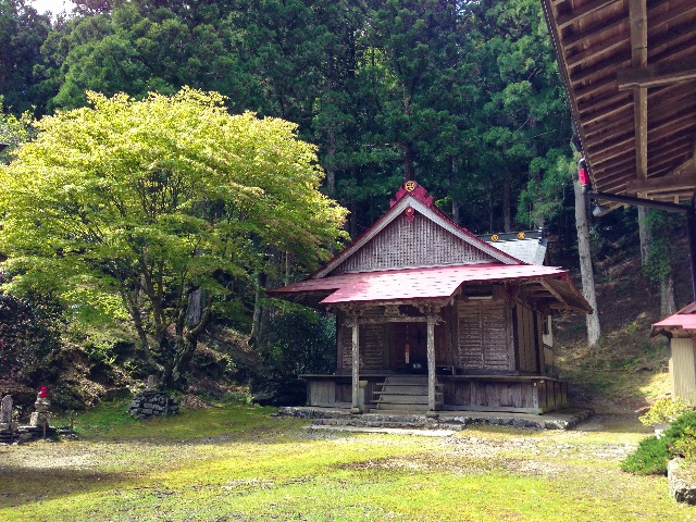 f:id:awa-otoko:20150511224244j:image f:id:awa-otoko:20150511224244j:image