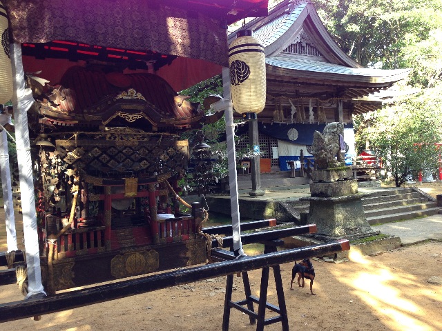 f:id:awa-otoko:20150516162307j:image f:id:awa-otoko:20150516162307j:image