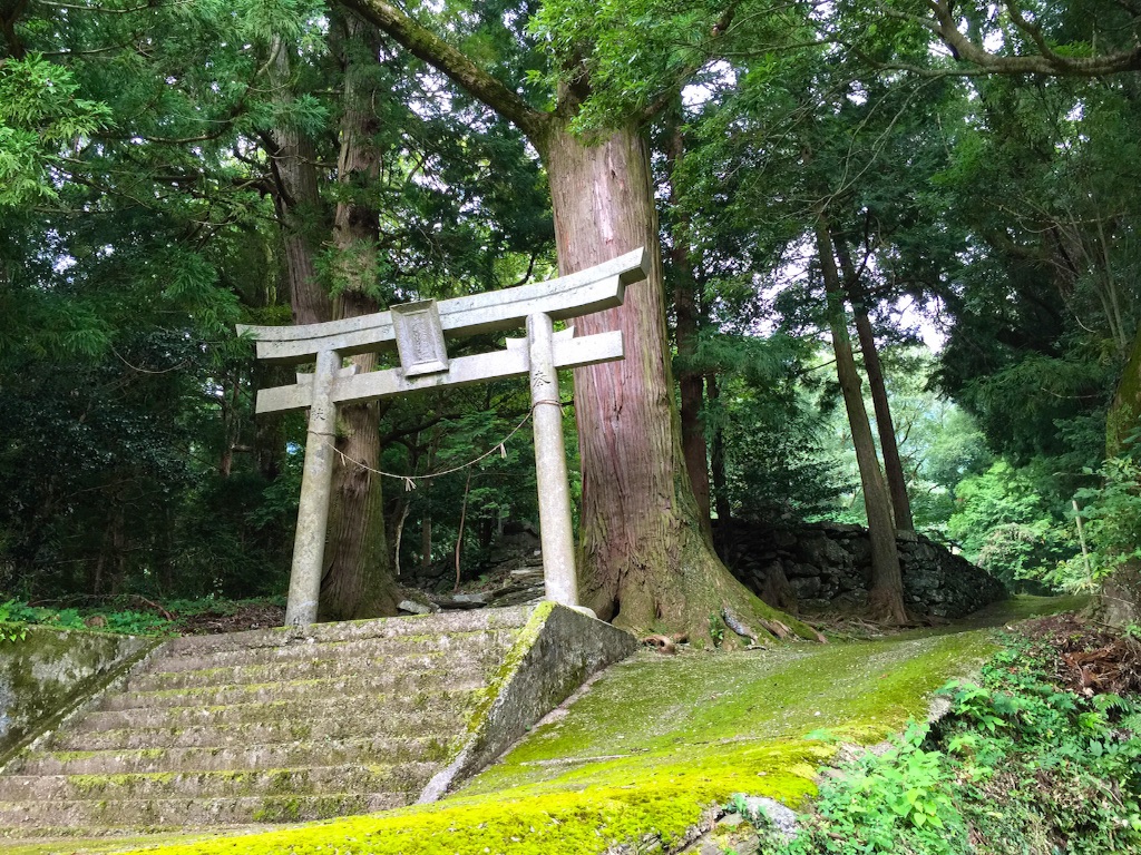 f:id:awa-otoko:20150821161438j:image f:id:awa-otoko:20150821161438j:image