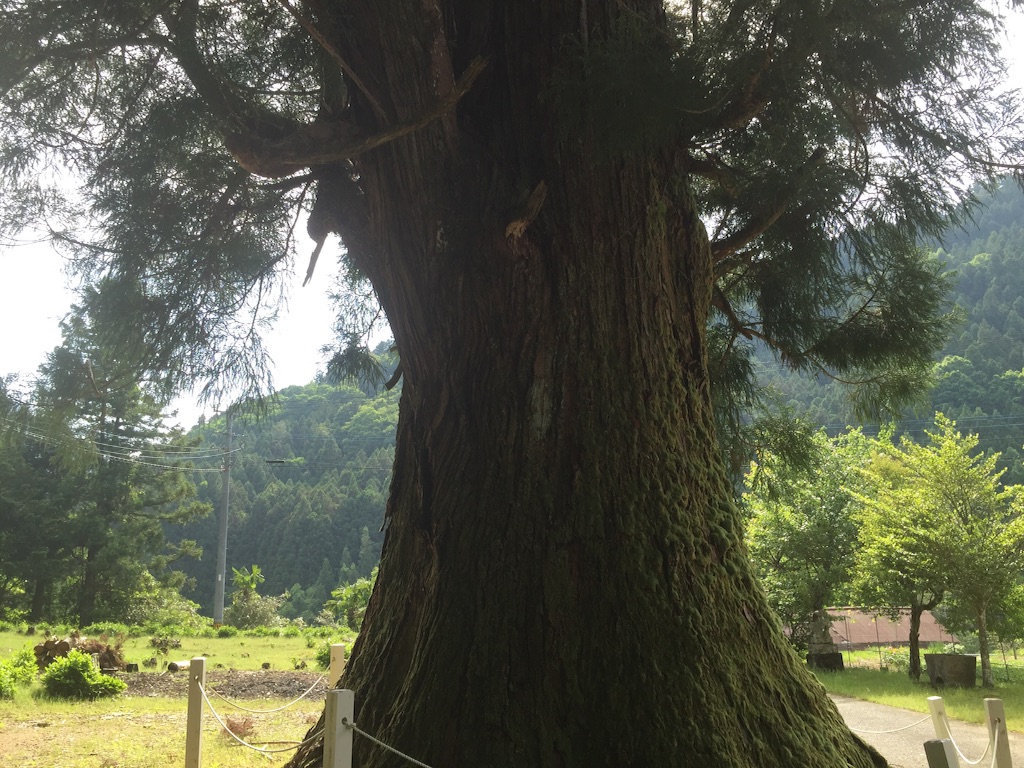 f:id:awa-otoko:20150821162138j:image f:id:awa-otoko:20150821162138j:image