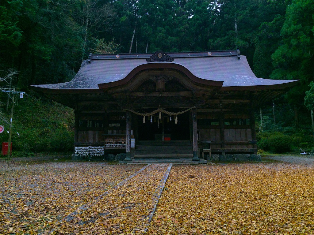 f:id:awa-otoko:20151122000939j:image f:id:awa-otoko:20151122000939j:image