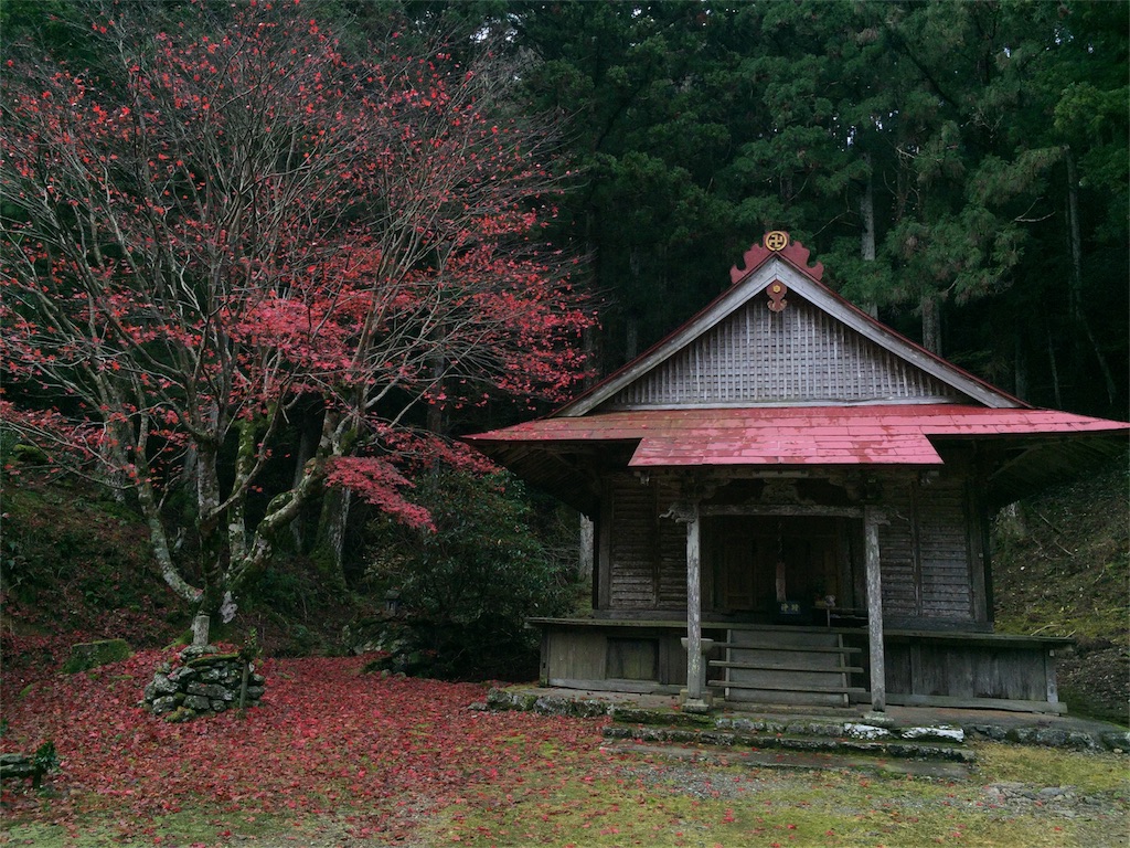 f:id:awa-otoko:20151122001048j:image f:id:awa-otoko:20151122001048j:image
