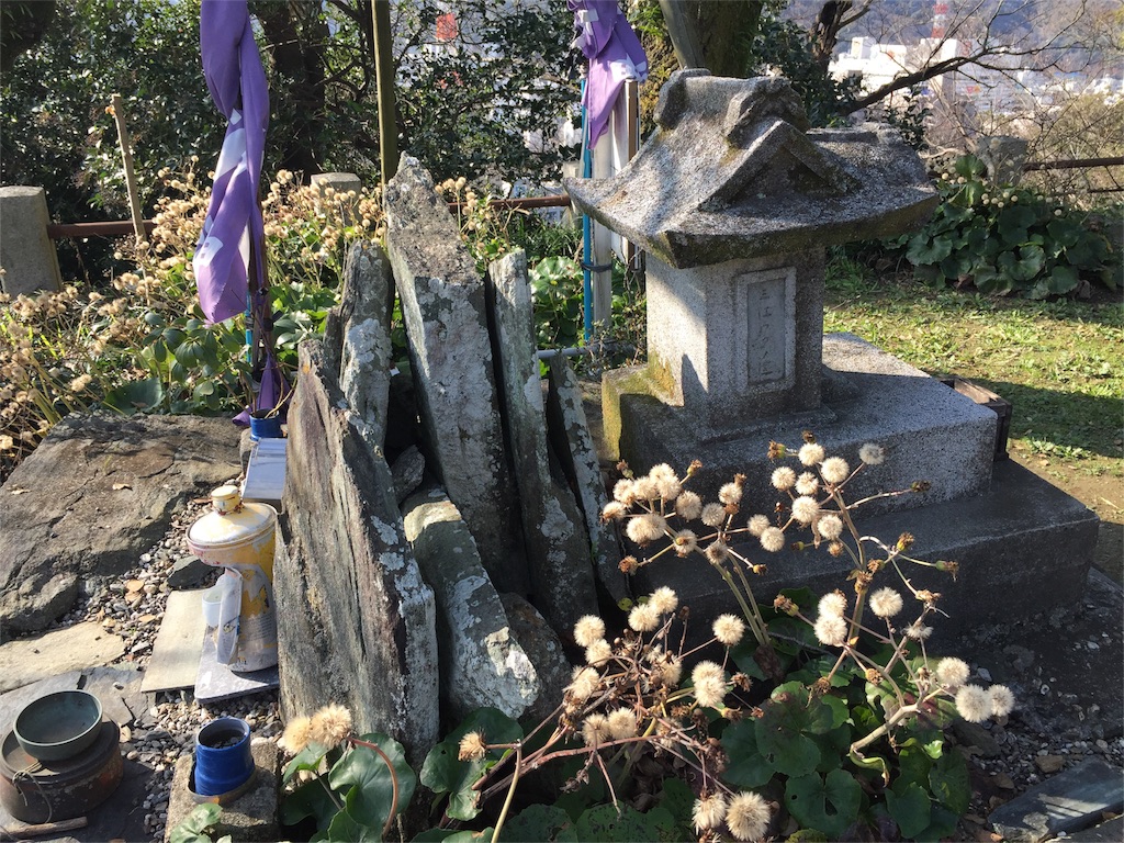 f:id:awa-otoko:20151229001909j:image f:id:awa-otoko:20151229001909j:image