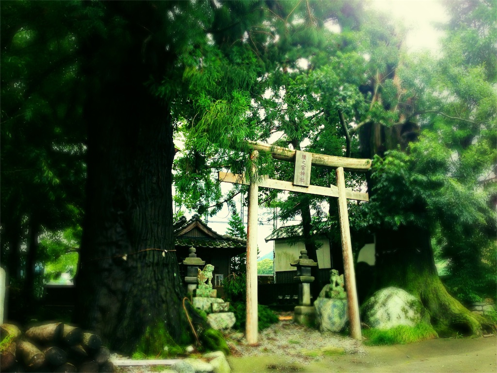 f:id:awa-otoko:20160116220327j:image f:id:awa-otoko:20160116220327j:image