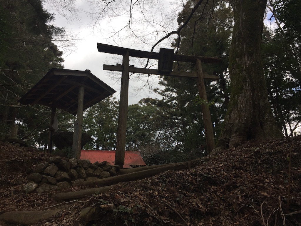 f:id:awa-otoko:20160312133318j:image f:id:awa-otoko:20160312133318j:image