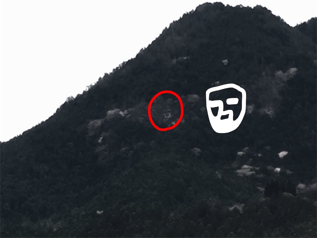 f:id:awa-otoko:20160520224353j:image f:id:awa-otoko:20160520224353j:image