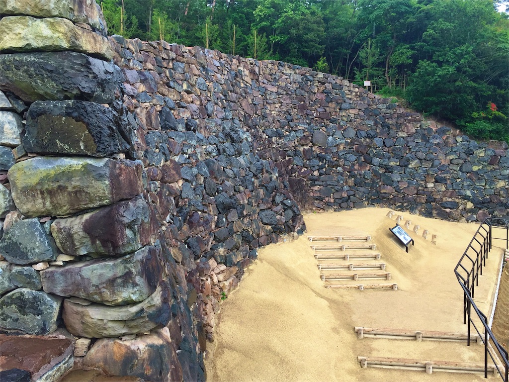 f:id:awa-otoko:20160607232315j:image