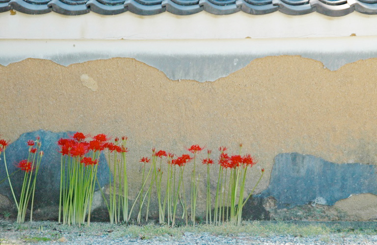f:id:awao331:20121207110205j:plain f:id:awao331:20121207110205j:plain