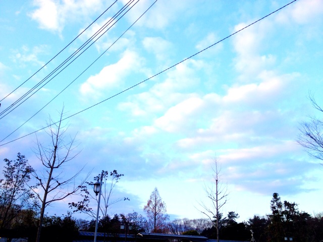f:id:ayaka_1021:20140322204048j:plain f:id:ayaka_1021:20140322204048j:plain