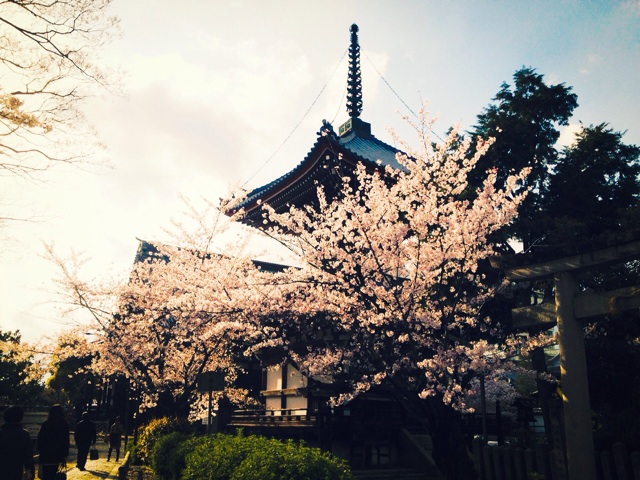 f:id:ayaka_1021:20140406202948j:plain f:id:ayaka_1021:20140406202948j:plain