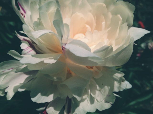 f:id:ayaka_1021:20140522144359j:plain f:id:ayaka_1021:20140522144359j:plain