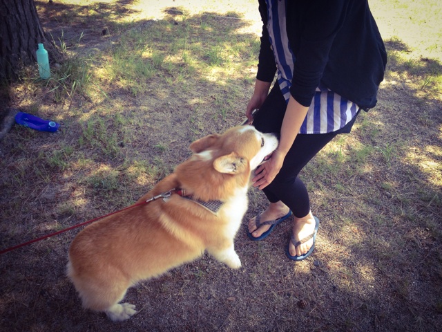 f:id:ayaka_1021:20140607085756j:plain f:id:ayaka_1021:20140607085756j:plain