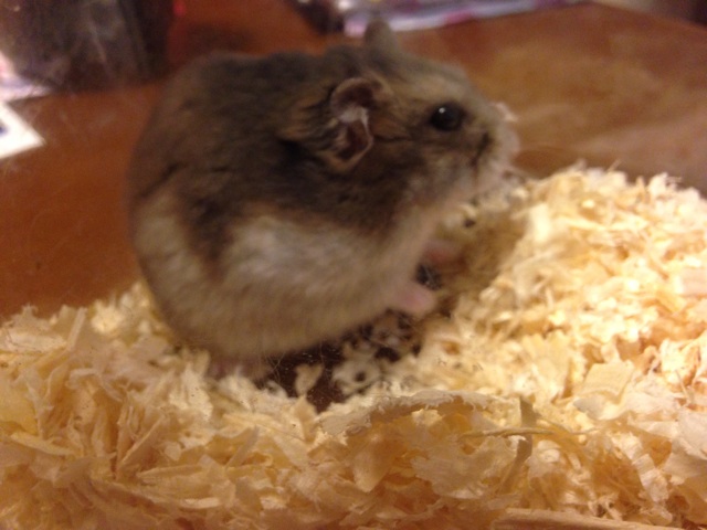 f:id:ayako312:20140726234808j:plain f:id:ayako312:20140726234808j:plain