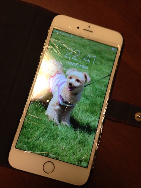 f:id:ayako312:20140925224632j:plain f:id:ayako312:20140925224632j:plain