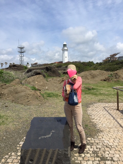 f:id:ayako312:20150426214915j:image f:id:ayako312:20150426214915j:image