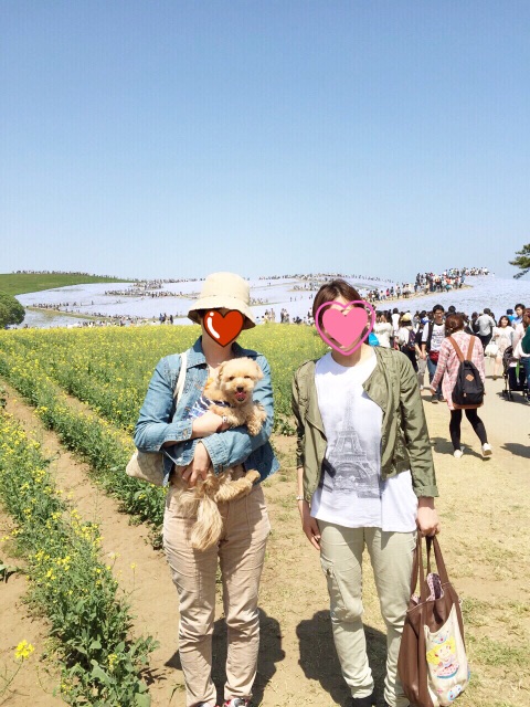 f:id:ayako312:20150502231154j:image f:id:ayako312:20150502231154j:image