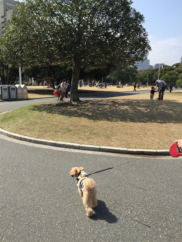 f:id:ayako312:20160320222328j:image f:id:ayako312:20160320222328j:image