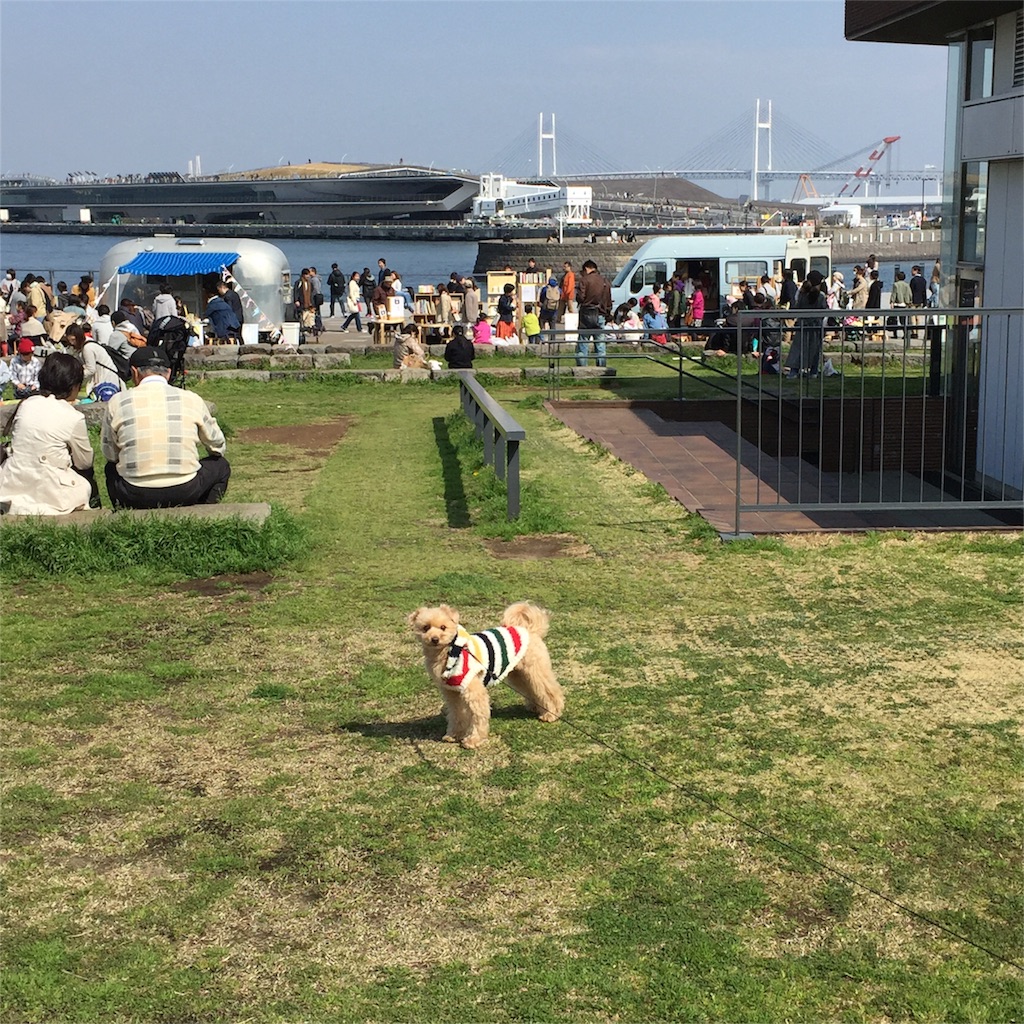 f:id:ayako312:20160320222752j:image f:id:ayako312:20160320222752j:image