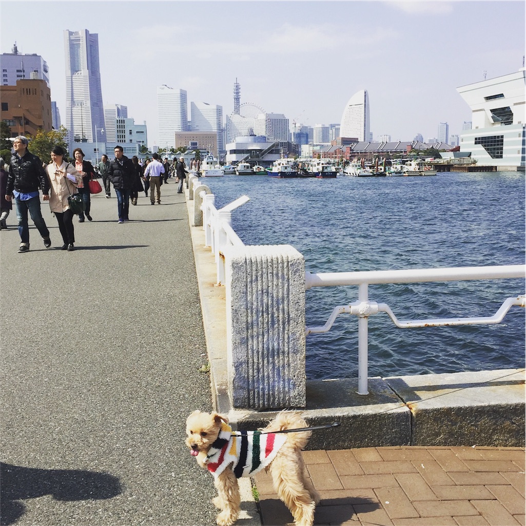 f:id:ayako312:20160320222830j:image f:id:ayako312:20160320222830j:image