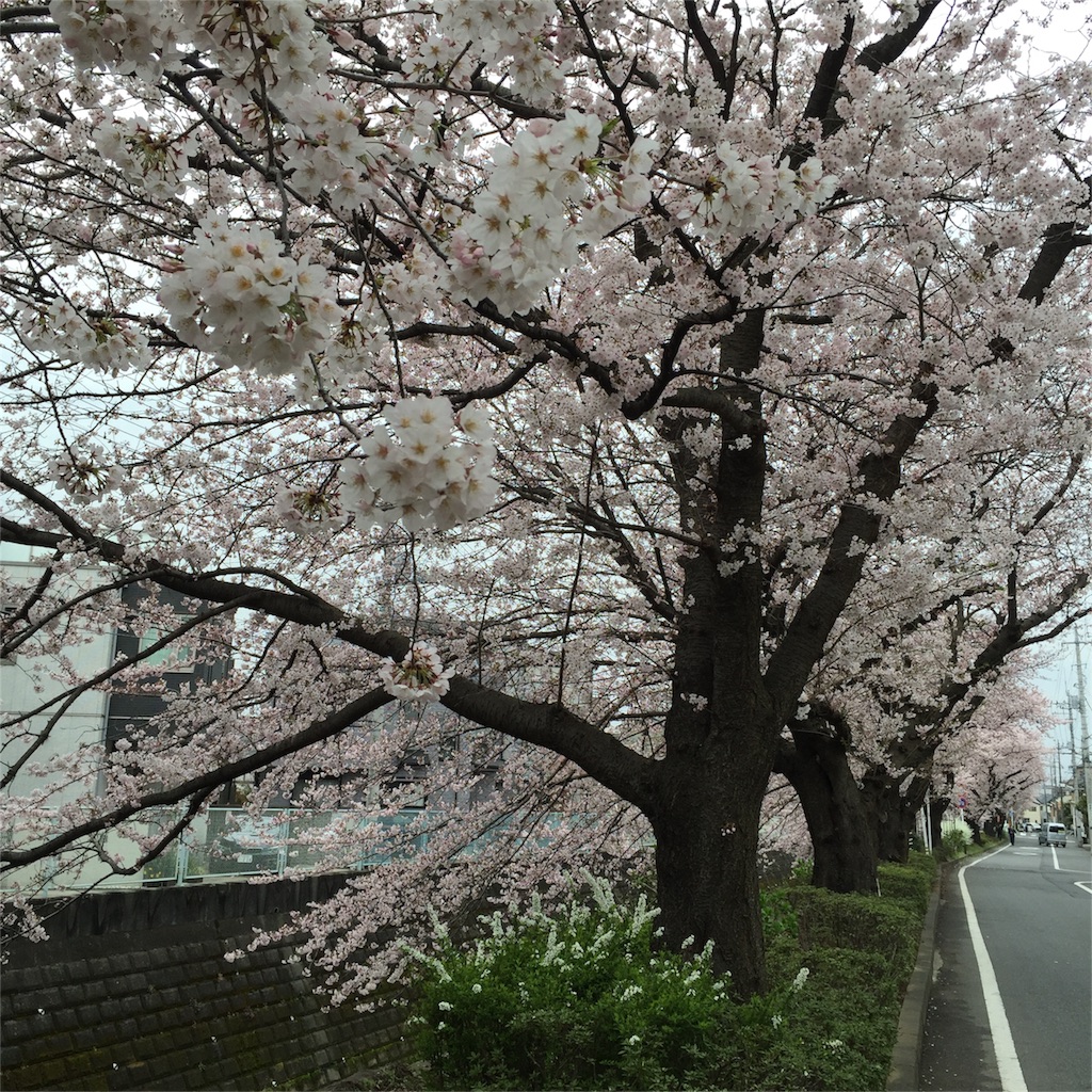 f:id:ayako312:20160402234902j:image f:id:ayako312:20160402234902j:image