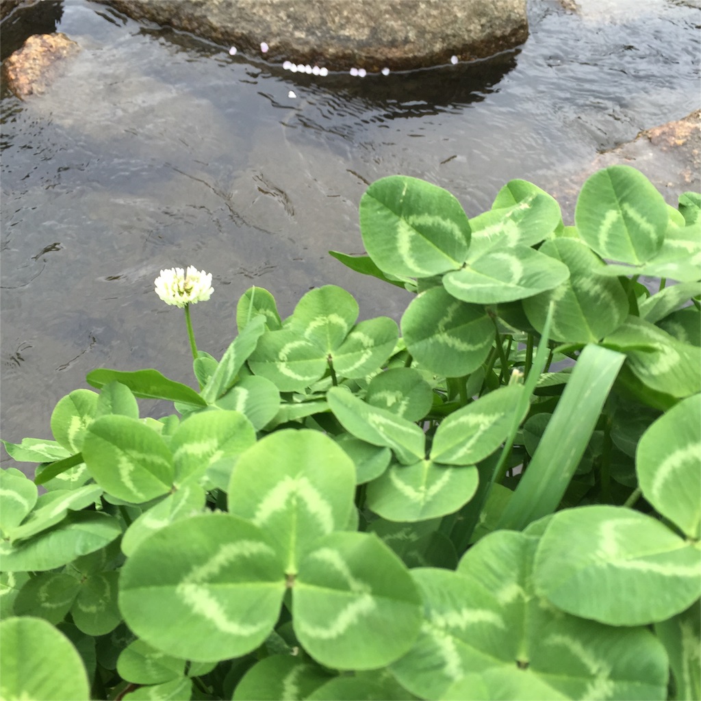f:id:ayako312:20160402235508j:image f:id:ayako312:20160402235508j:image