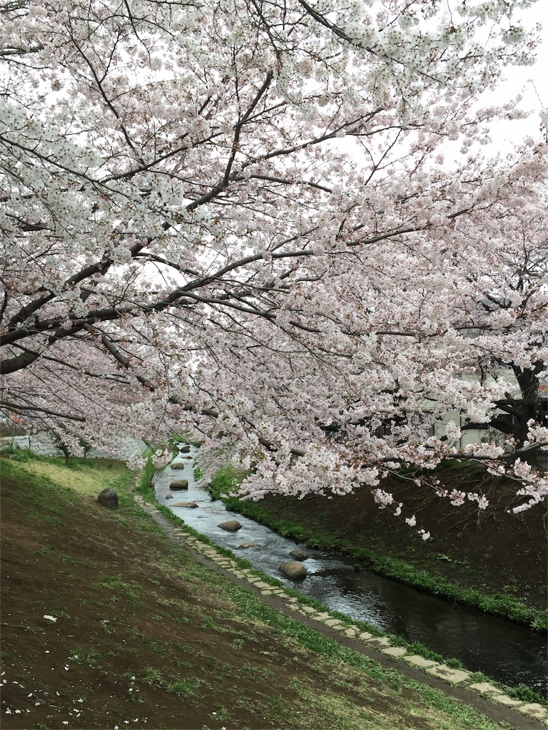 f:id:ayako312:20160402235605j:image f:id:ayako312:20160402235605j:image