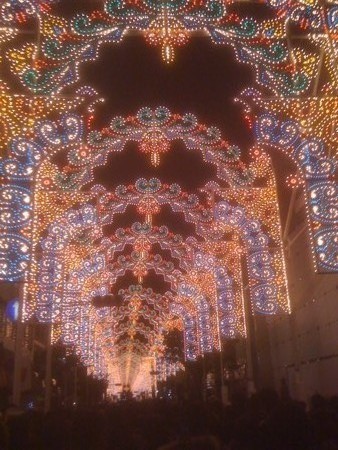 f:id:ayamadori:20091213181739j:image f:id:ayamadori:20091213181739j:image