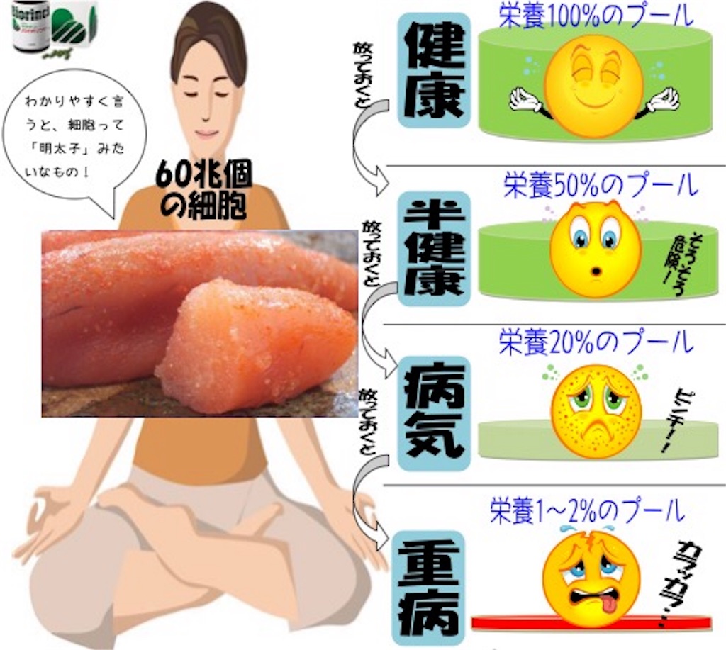 f:id:ayapapy:20151117103935j:image f:id:ayapapy:20151117103935j:image