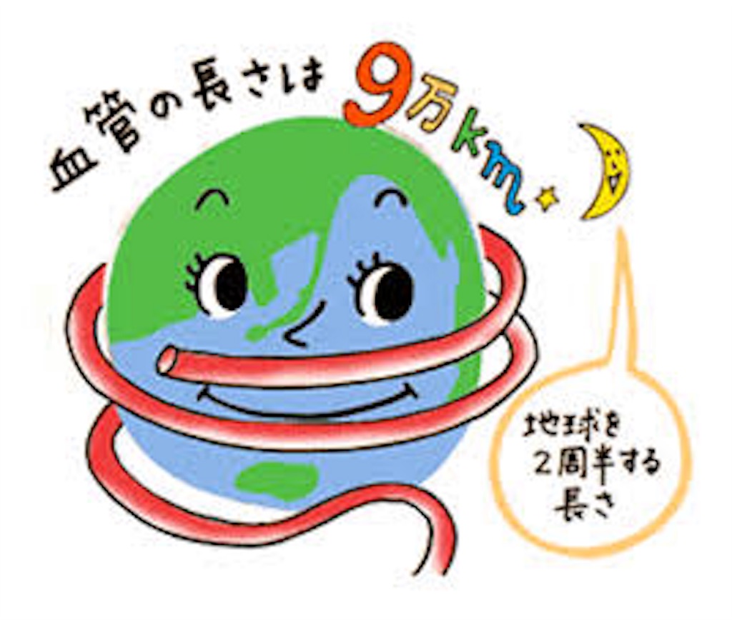f:id:ayapapy:20151201234336j:image f:id:ayapapy:20151201234336j:image
