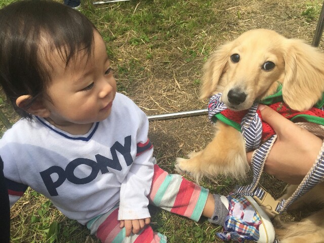 f:id:ayapinx:20160503222900j:image f:id:ayapinx:20160503222900j:image